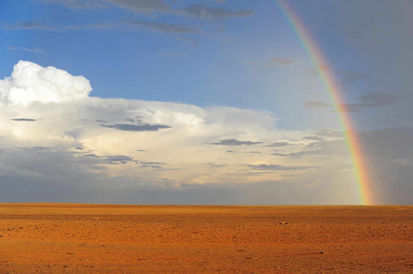 Regenbogen