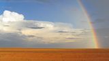 Regenbogen