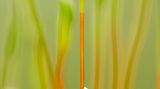 Wassertropfen