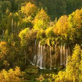 Europas wilde Wälder