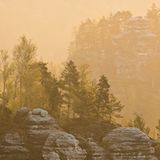 Europas wilde Wälder