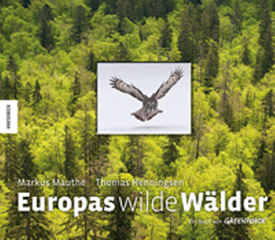 Fotogalerie: Markus Mauthe (Fotos), Thomas Henningsen (Texte) Europas wilde Wälder Knesebeck Verlag 2012 192 Seiten, 220 farbige Abb.