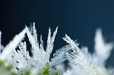 Frost