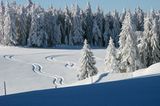 Winterlandschaft