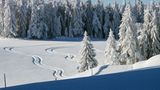 Winterlandschaft