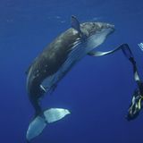 Naturfilm: Fotogalerie: "Unser Leben" - Bild 3