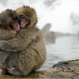 Naturfilm: Fotogalerie: "Unser Leben" - Bild 5