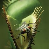 Naturfilm: Fotogalerie: "Unser Leben" - Bild 9