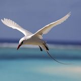 Naturfilm: Tierdoku: "Unser Leben" - Bild 2