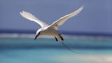 Naturfilm: Tierdoku: "Unser Leben" - Bild 2