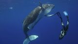 Naturfilm: Tierdoku: "Unser Leben" - Bild 3