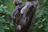 Naturfilm: Tierdoku: "Unser Leben" - Bild 6