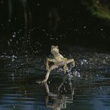 Naturfilm: Tierdoku: "Unser Leben" - Bild 7