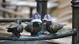 Stricken: urban knitting: "Das funktioniert mit jedem Garn!" - Bild 6