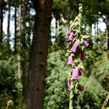 Stricken: urban knitting: "Das funktioniert mit jedem Garn!" - Bild 11