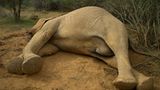 Kenia