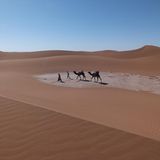 Sahara