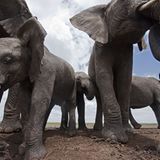 Noch mehr Afrika von unten