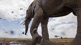 Noch mehr Afrika von unten - Bild 2