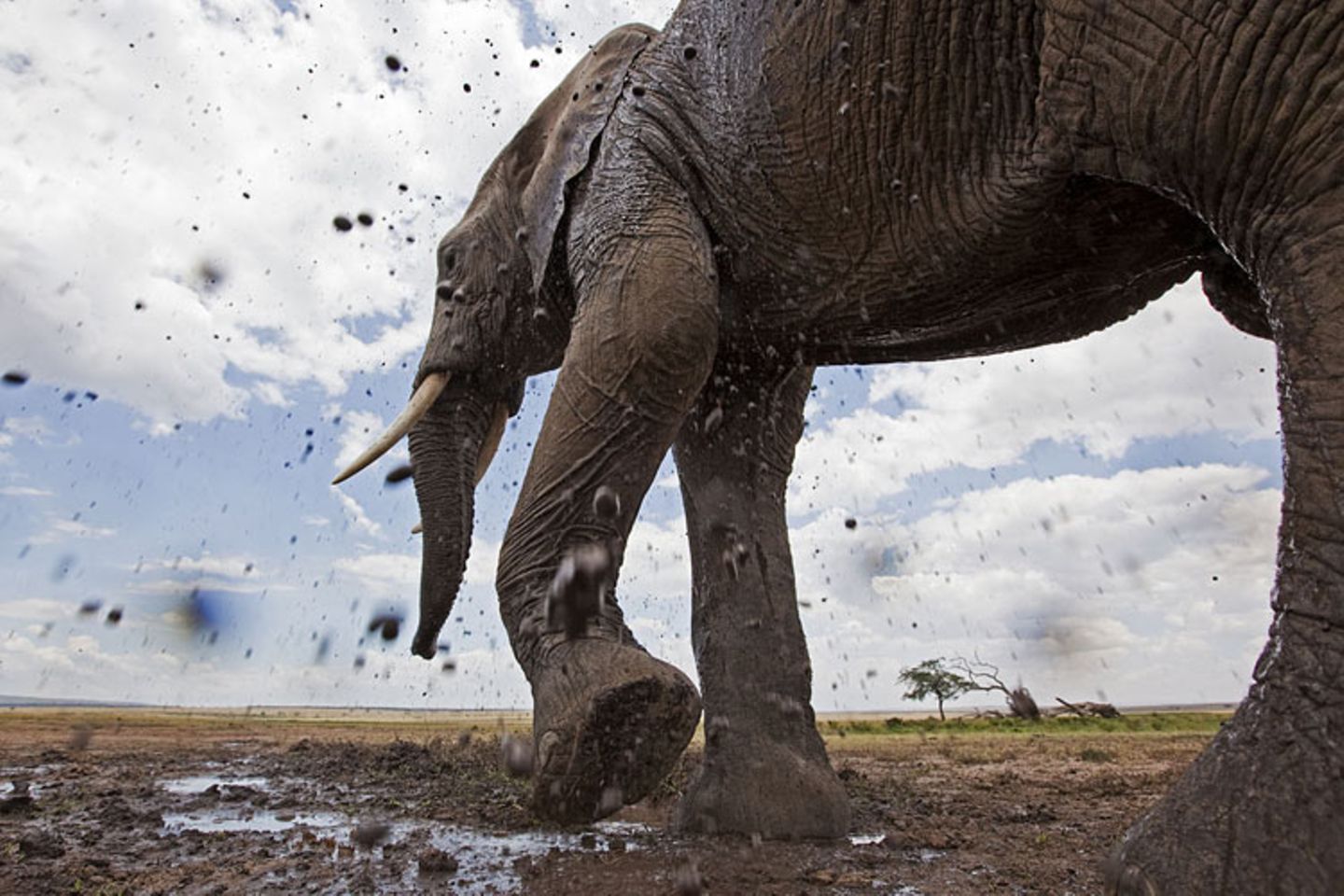 Noch mehr Afrika von unten - Bild 2