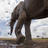 Noch mehr Afrika von unten - Bild 2