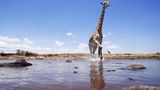 Noch mehr Afrika von unten - Bild 3