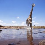 Noch mehr Afrika von unten - Bild 3