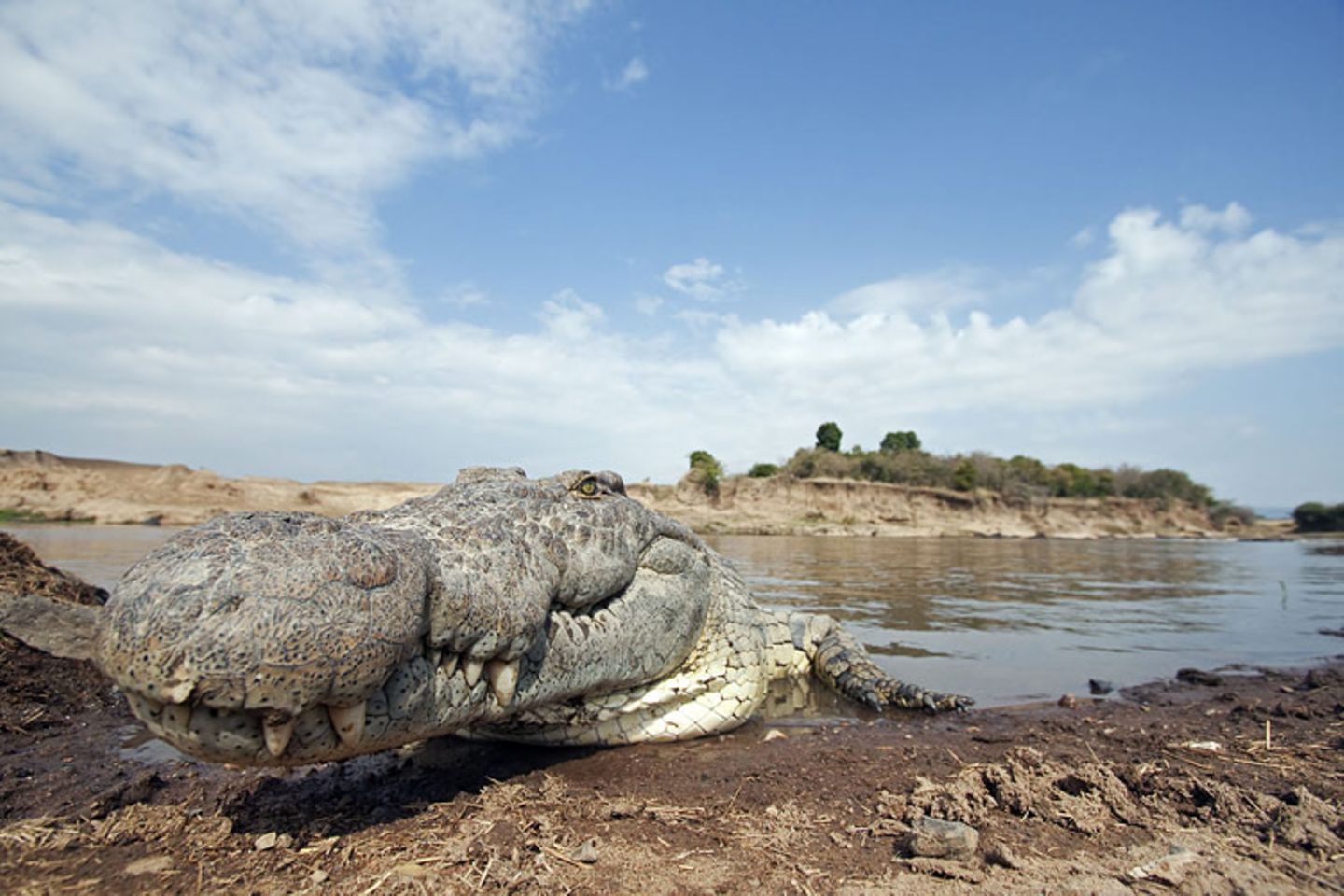Noch mehr Afrika von unten - Bild 4