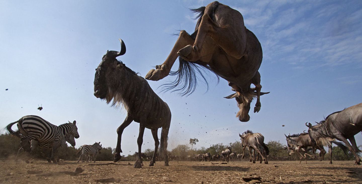 Noch mehr Afrika von unten - Bild 5