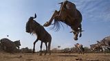 Noch mehr Afrika von unten - Bild 5