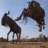 Noch mehr Afrika von unten - Bild 5