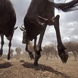 Noch mehr Afrika von unten - Bild 6