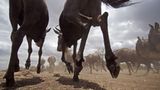 Noch mehr Afrika von unten - Bild 6
