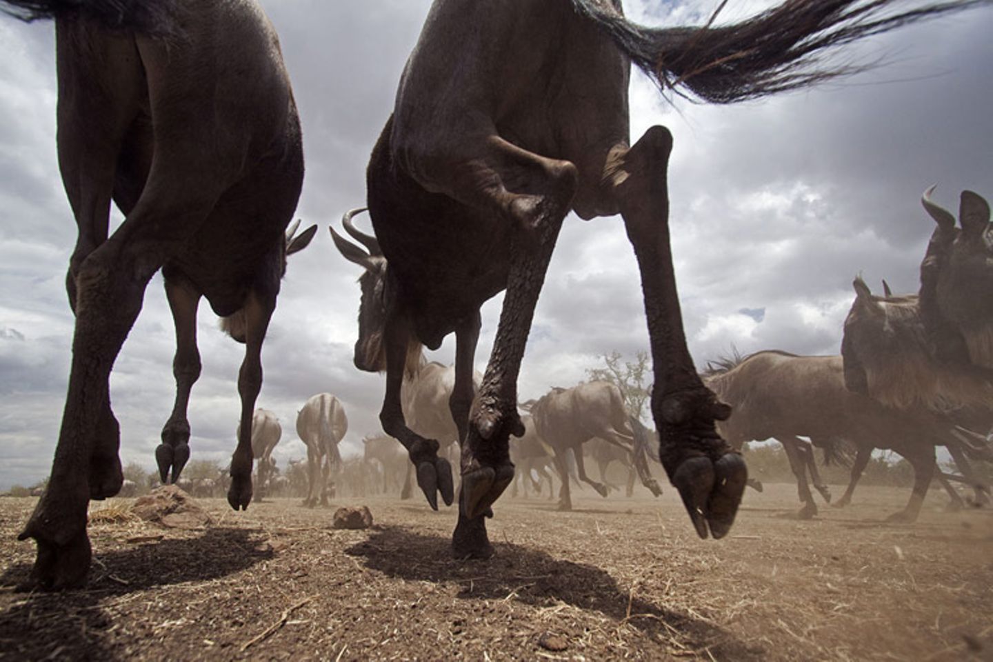 Noch mehr Afrika von unten - Bild 6