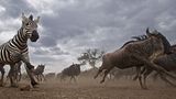 Noch mehr Afrika von unten - Bild 7