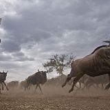 Noch mehr Afrika von unten - Bild 7