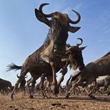 Noch mehr Afrika von unten - Bild 8