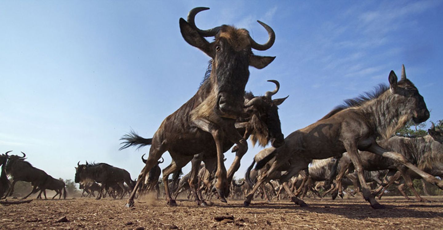 Noch mehr Afrika von unten - Bild 8