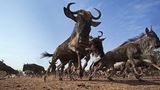Noch mehr Afrika von unten - Bild 8
