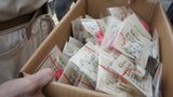 UNICEF: Japan, ein Jahr nach dem Tsunami - Bild 10