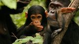 Goldene Palme 2012: Die besten Reisen - Bild 4