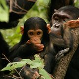 Goldene Palme 2012: Die besten Reisen - Bild 4