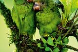 Fotogalerie: Fotogalerie: Tierfotografie als Kunst - Bild 3