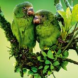 Fotogalerie: Fotogalerie: Tierfotografie als Kunst - Bild 3