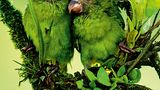 Fotogalerie: Fotogalerie: Tierfotografie als Kunst - Bild 3
