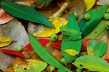 Fotogalerie: Fotogalerie: Tierfotografie als Kunst - Bild 4