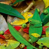 Fotogalerie: Fotogalerie: Tierfotografie als Kunst - Bild 4