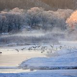 Fotogalerie: Fotogalerie: Tierfotografie als Kunst - Bild 10