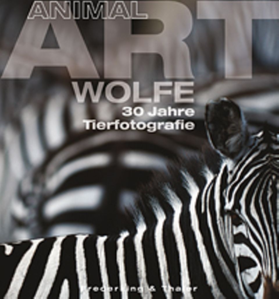 Fotogalerie: Art Wolfe Animal Art Naturfotografie aus sechs Kontinenten Frederking & Thaler Verlag 224 Seiten, ca. 160 Abb. Fotogalerie: Art Wolfe Animal Art Naturfotografie aus sechs Kontinenten Frederking & Thaler Verlag 224 Seiten, ca. 160 Abb.