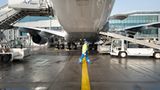 Flughafen: Am Boden geblieben - Bild 2